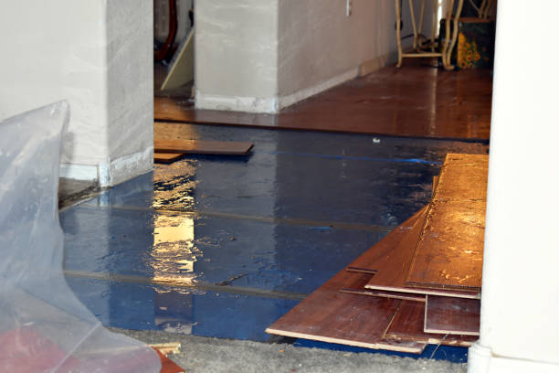Professional Water Damage Restoration technician working in Middleburg, FL